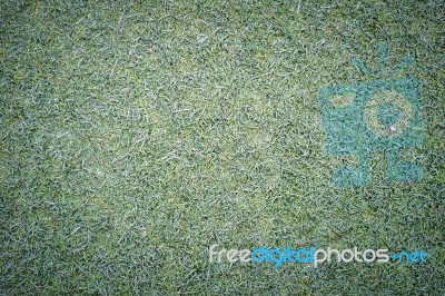 Green Fake Grass Background Stock Photo