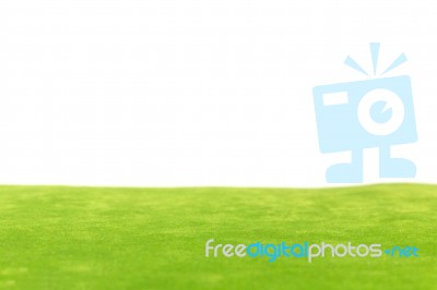 Green Field On White Background Stock Photo