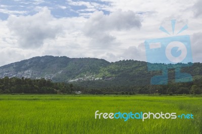 Green Field With Mountain In The Background Stock Photo