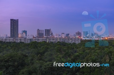 Green Forest In Big City Under Moon Sky Twilight Stock Photo