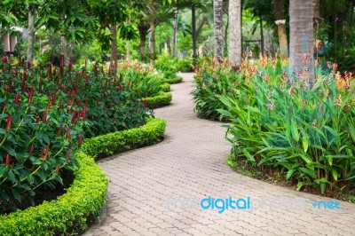 Green Garden In The Resort Stock Photo