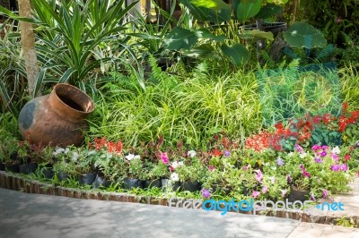 Green Garden Of Resort And Spa Surrounding Stock Photo