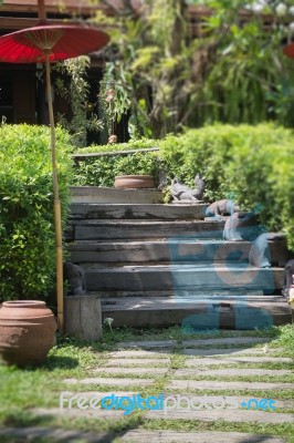 Green Garden Pathway In Summer Stock Photo