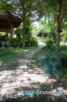 Green Garden Pathway In Summer Stock Photo