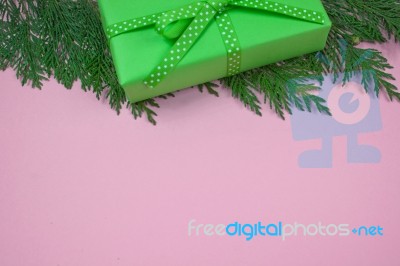 Green Gift With Polka Dot Ribbon And Cypress Leaf On Pink Background Stock Photo