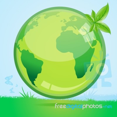 Green Globe Stock Image