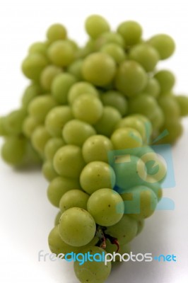 Green Grapes. Stock Photo