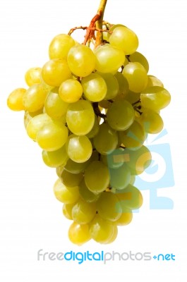 Green Grapes Stock Photo