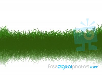 Green Grass Stock Image