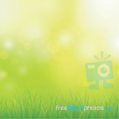 Green Grass Stock Photo