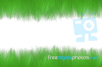 Green Grass Stock Image