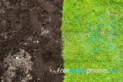 Green Grass And Brown Soil Landscape Stock Photo