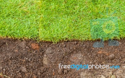 Green Grass And Brown Soil Landscape Stock Photo