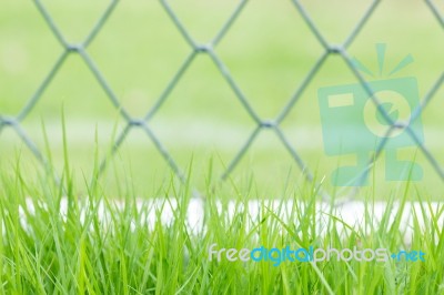 Green Grass And Fence Background Stock Photo