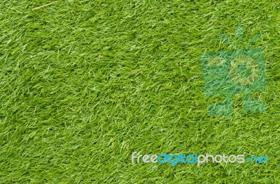 Green Grass Background Stock Photo