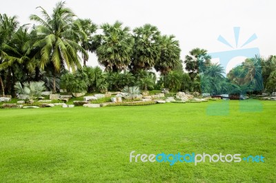 Green Grass Field In Park Stock Photo