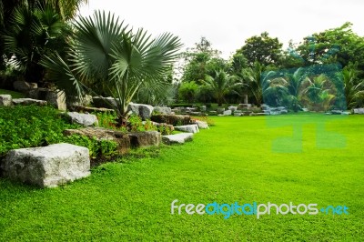 Green Grass Field In Park Stock Photo