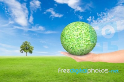 Green Grass Field With Tree And Blue Sky Stock Photo