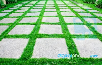 Green Grass Growth Between Cement Walkway Stock Photo