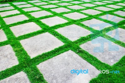 Green Grass Growth Between Cement Walkway Stock Photo