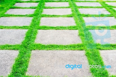 Green Grass Growth Between Cement Walkway Stock Photo