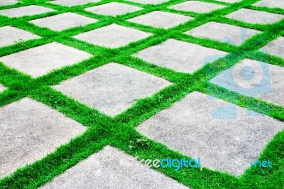 Green Grass Growth Between Cement Walkway Stock Photo