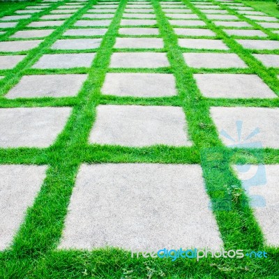 Green Grass Growth Between Cement Walkway Stock Photo