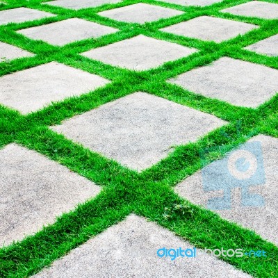 Green Grass Growth Between Cement Walkway Stock Photo