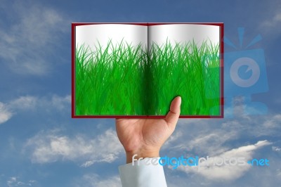 Green Grass In Book And Wooden Sign Stock Image