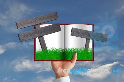 Green Grass In Book And Wooden Sign Stock Image