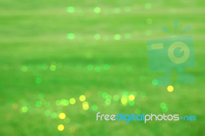 Green Grass Of Background Stock Photo