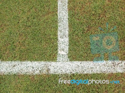 Green Grass With White Line Of Football Field Stock Photo