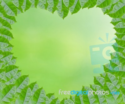 Green Heart Framing Stock Image