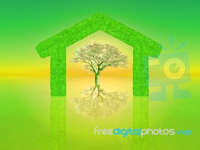 Green Home Stock Image