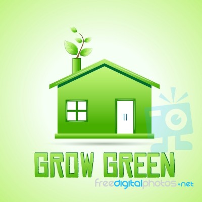 Green House Stock Image