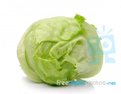 Green Iceberg Lettuce On White Background Stock Photo