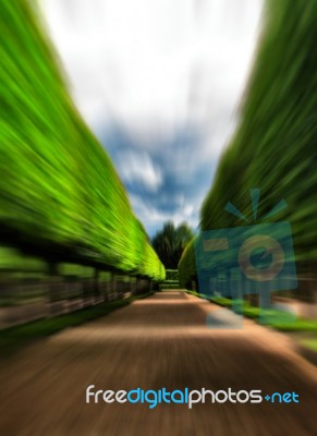 Green Idyllic Tree Alley Park Motion Abstract Stock Photo