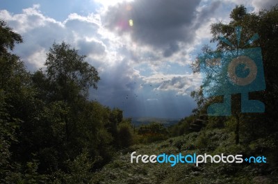 Green Landscape Stock Photo