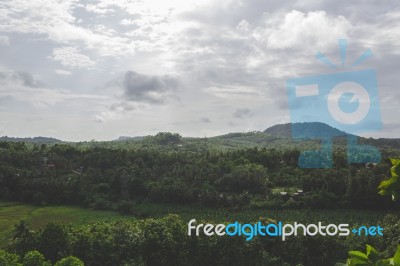 Green Landscape With Hill In The Background Stock Photo