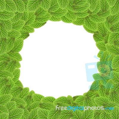 Green Leaf Frame Stock Photo