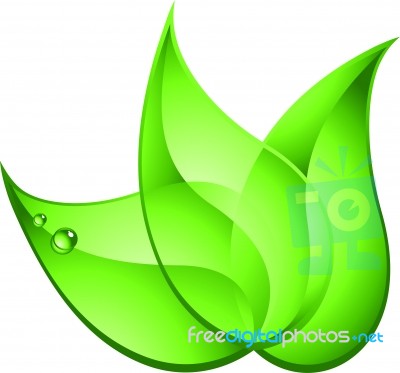 Green Leaf On White Stock Image