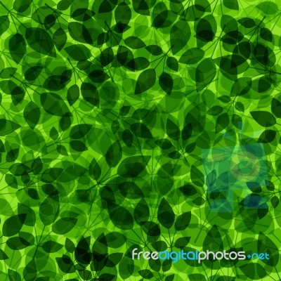 Green Leaf Pattern Stock Image