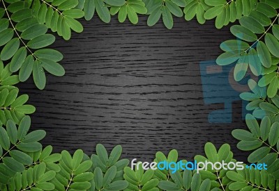 Green Leaf With Wood Background Stock Photo