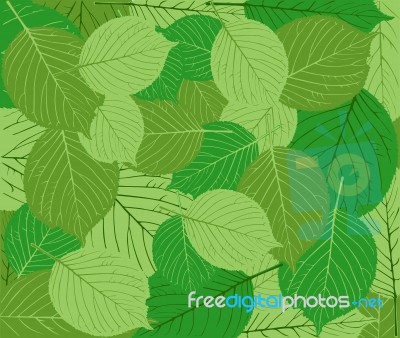 Green Leaves Background Stock Image