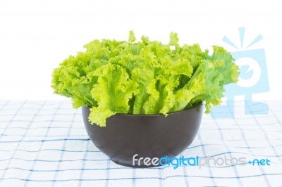 Green Lettuce Stock Photo