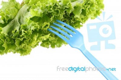 Green Lettuce For Salad And Fork In White Background Stock Photo