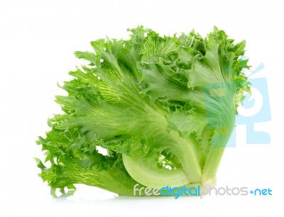 Green Lettuce Isolated On The White Background Stock Photo