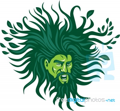 Green Man Head Hair Flowing Leaves Cartoon Stock Image