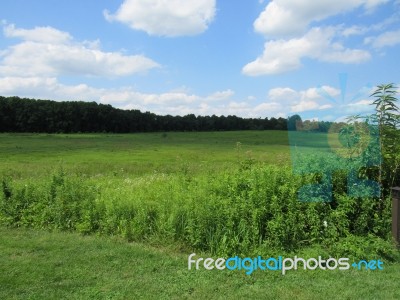 Green Meadow In Outdoors Stock Photo