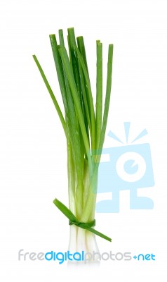 Green Onion Isolated On The White Background Stock Photo